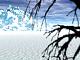 winter11.jpg